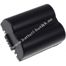 Batteri til Panasonic Lumix DMC-FZ30 Serie