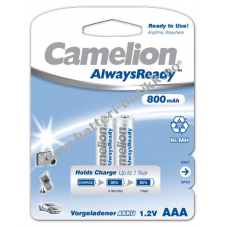 Camelion HR03 Micro AAA Always Ready (oppladbare) 2 stk. 800mAh