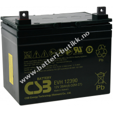 CSB Bleibatteri EVH12390 12V 39Ah zyklenfest