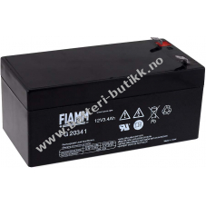 FIAMM Blybatteri FG20341