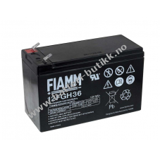 FIAMM Blybatteri FGH20902 (hy effekt)